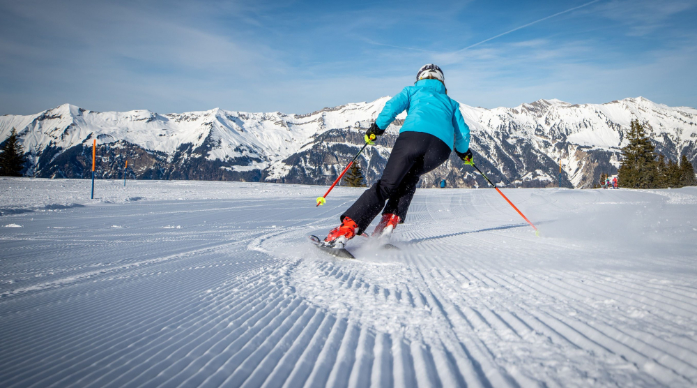 Aktivitaet skiing hotel brienzerburli brienz 06