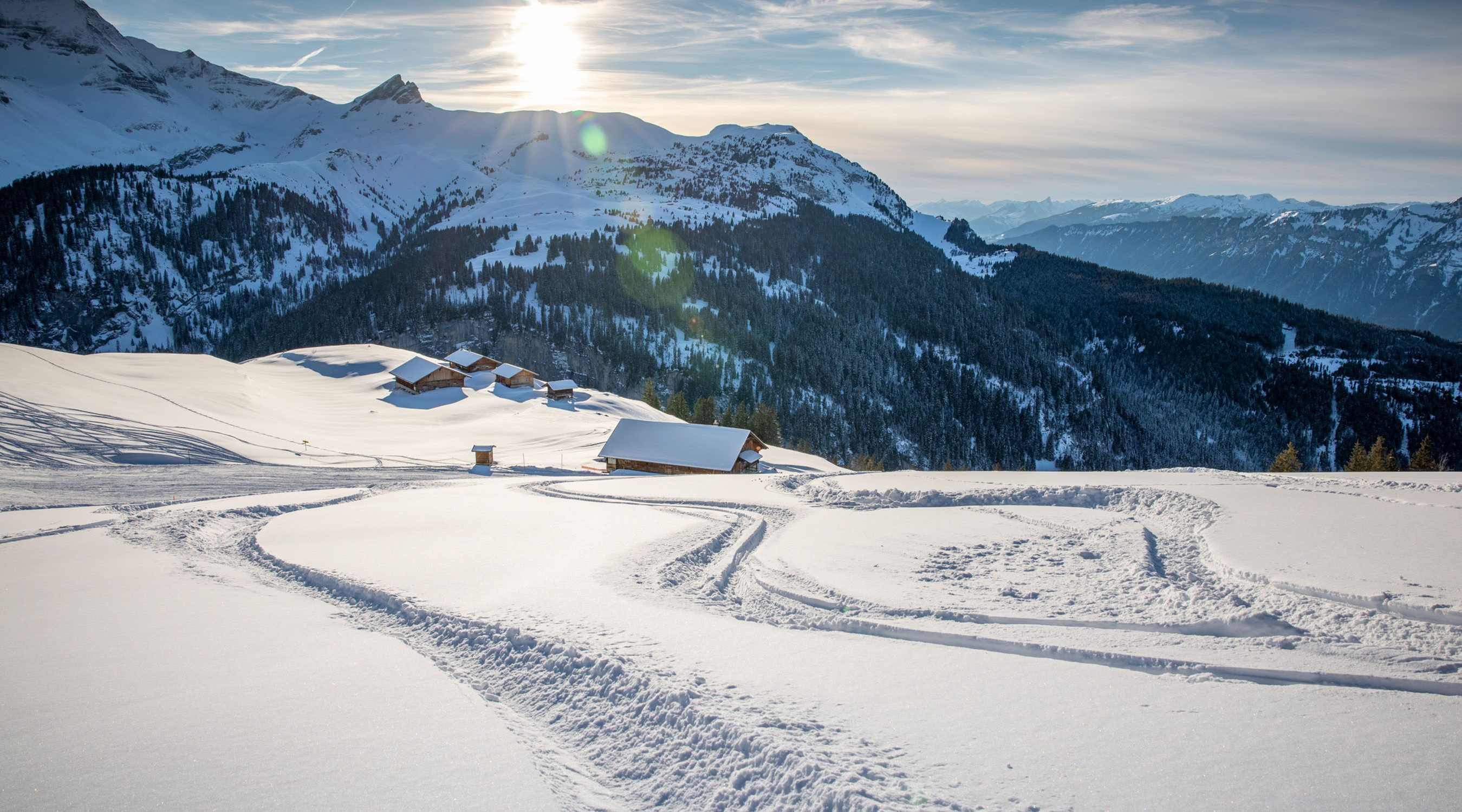 Aktivitaet powderski hotel brienzerburli brienz 01