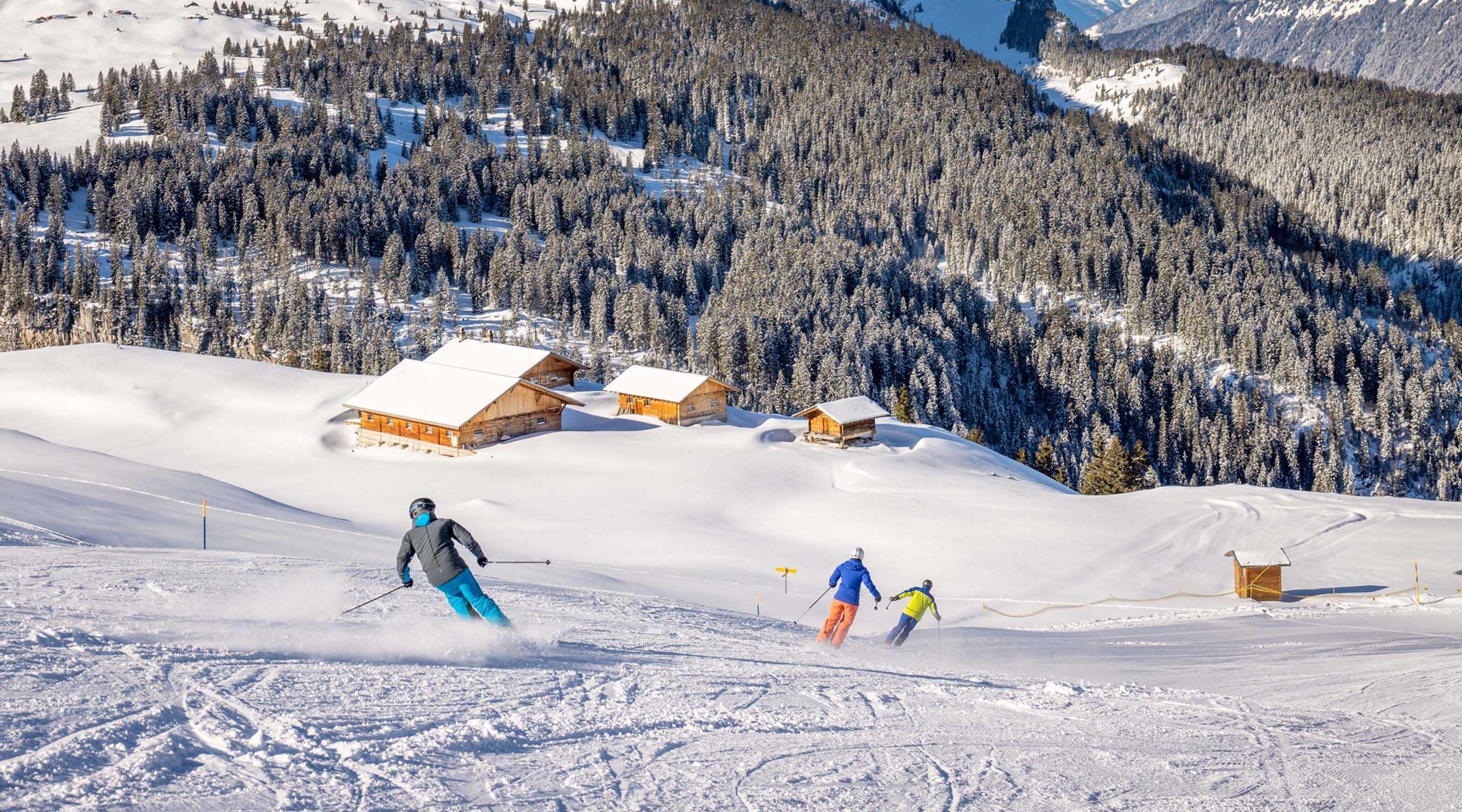 Aktivitaet skiing hotel brienzerburli brienz 03