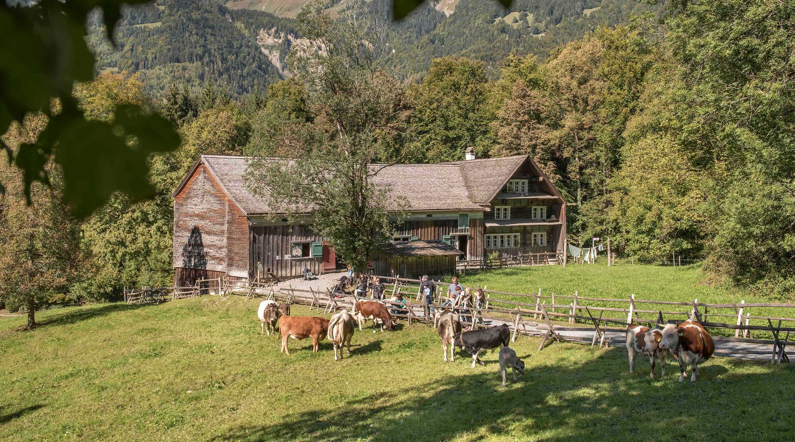 Freilichtmuseum Ballenberg